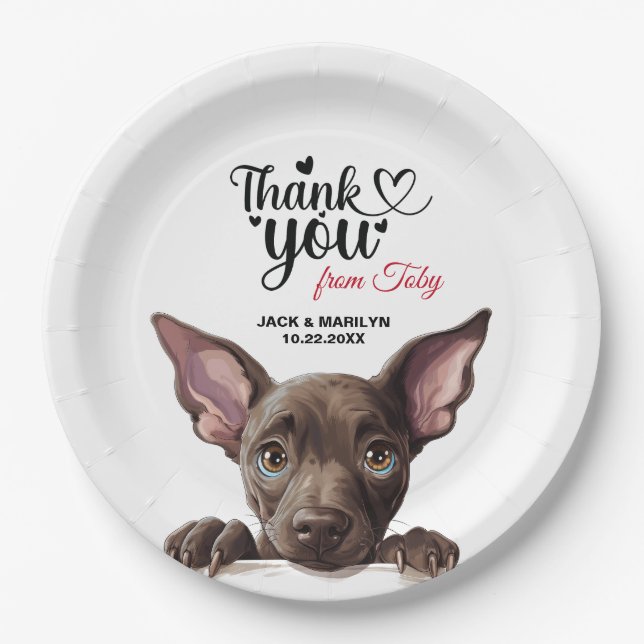 Plato De Papel Perro Xoloitzcuinti (Anverso)