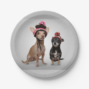 Plato De Papel Perros de la chihuahua con la foto de los gorras