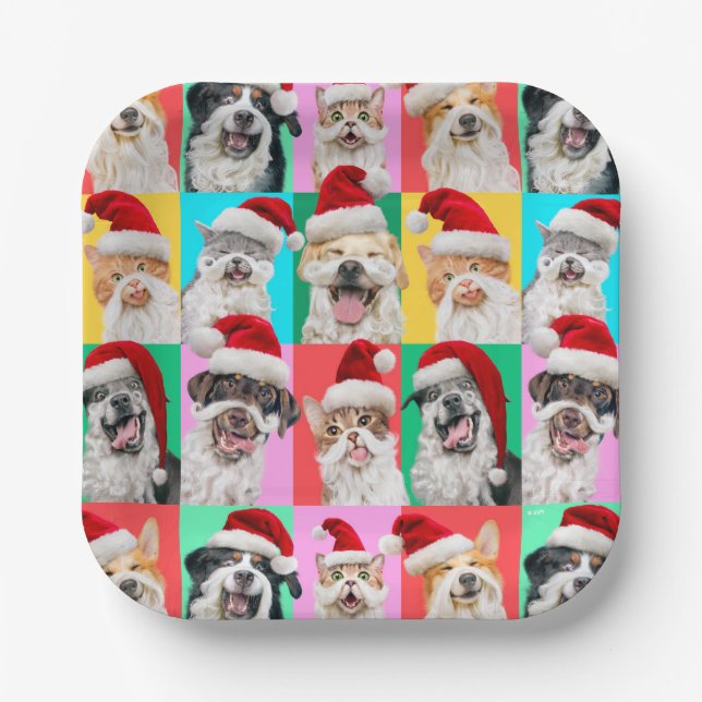 Plato De Papel Perros y Gatos con Barba de Santa (Anverso)