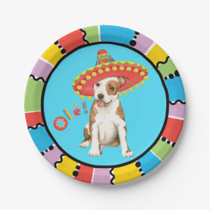 Plato De Papel Personal de Fiesta Am