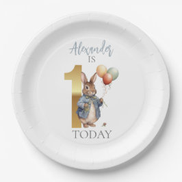 Plato De Papel Personalizar a Peter el conejo Primer cumpleaños