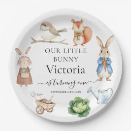 Plato De Papel Peter Rabbit Animals Garden Tools Birthday Party