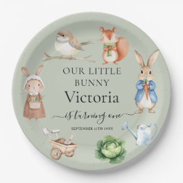 Plato De Papel Peter Rabbit Animals Garden Tools Birthday Party
