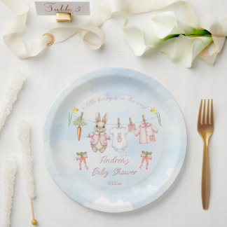 Plato De Papel Peter the Rabbit Girl Clothesline Baby Shower