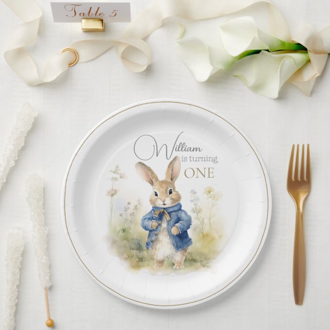 Plato De Papel Peter The Rabbit Watercolor Birthday (Boda)