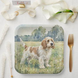 Plato De Papel Petite Basset Griffon Vandeen - PBGV
