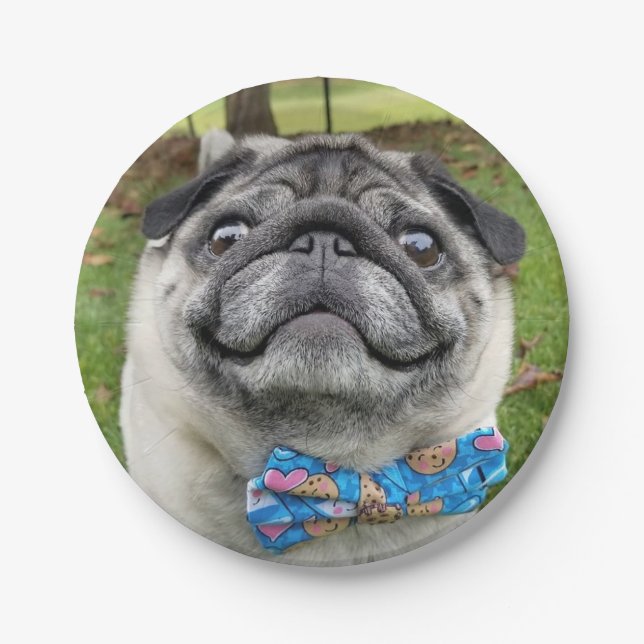 Plato De Papel Pickles Paper Plate (Anverso)