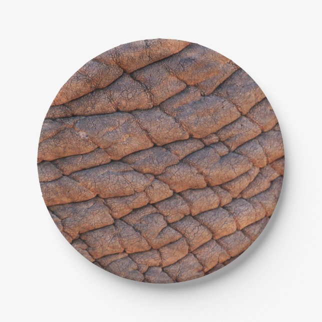 Plato De Papel Piel elefante (Anverso)