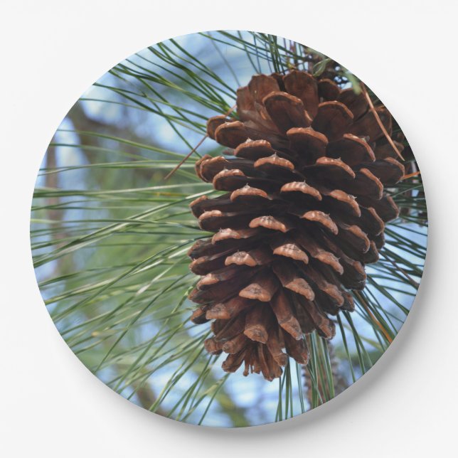 Plato De Papel Pine Cone (Anverso)