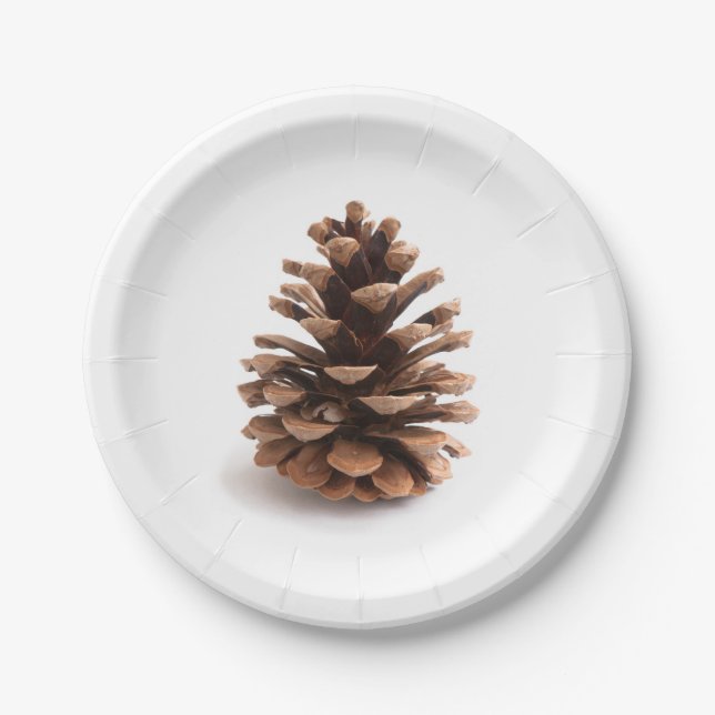Plato De Papel Pinecona (Anverso)