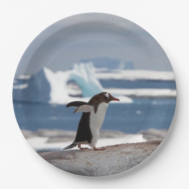 Plato De Papel Pingüino frente a un arco de hielo (Anverso)