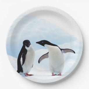 Plato De Papel Pingüinos Adelie