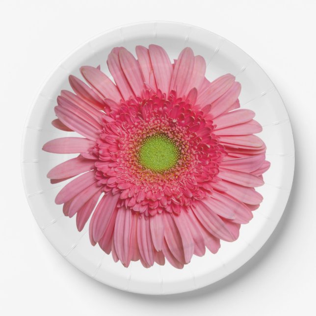 Plato De Papel Pink Gerbera Daisy (Anverso)