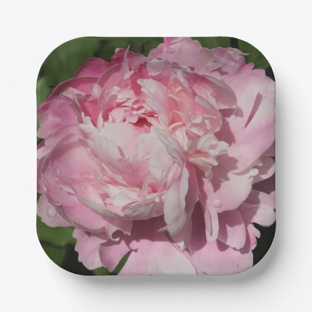 Plato De Papel Pink Peony (Anverso)