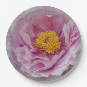 Plato De Papel Pink Peony
