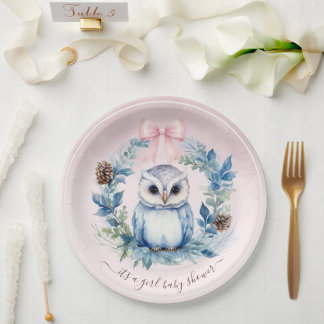Plato De Papel Pink Winter Baby Owl Watercolor Girl Baby Shower