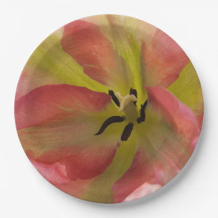 Plato De Papel Pink & Yellow Tulip