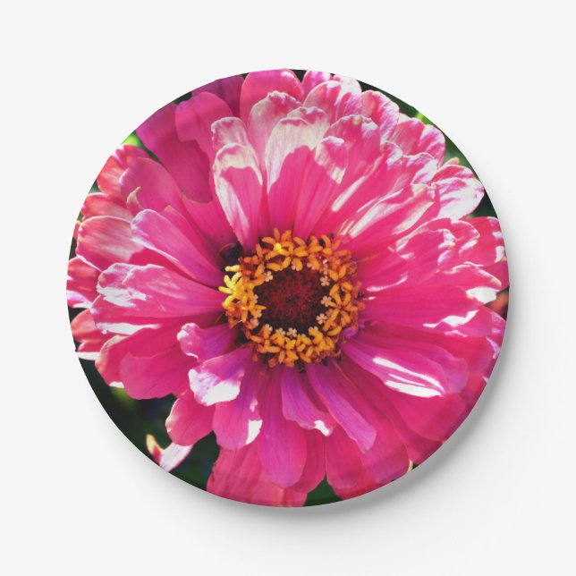 Plato De Papel Pink Zinnia (Anverso)