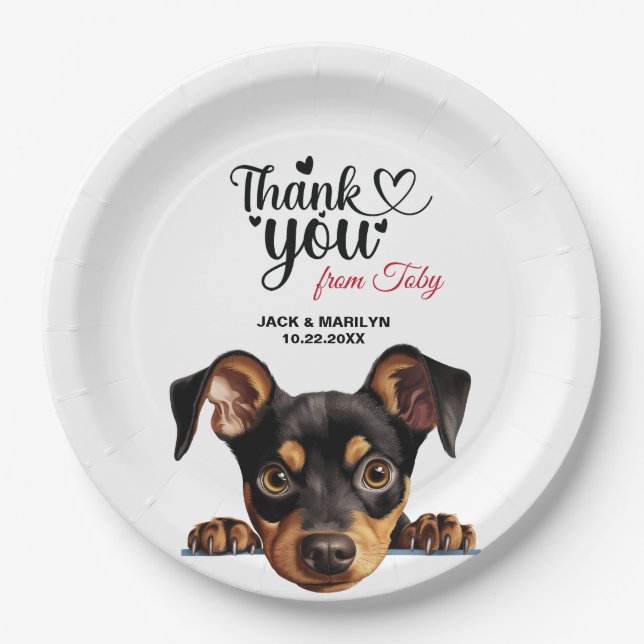 Plato De Papel Pinscher alemán (Anverso)