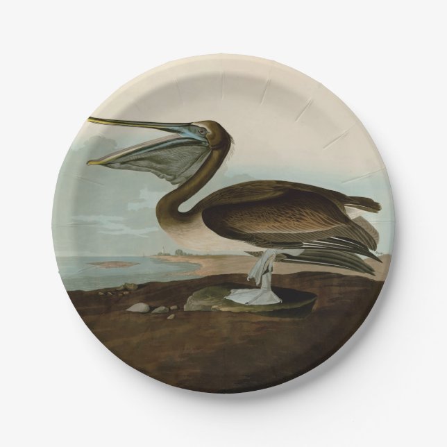 Plato De Papel Pintura de arte pelicano John James Audubon Brown (Anverso)