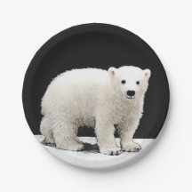 Pintura de Cubo de Oso Polar - Arte de Vida Silves
