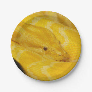 Plato De Papel Pitón birmano amarillo