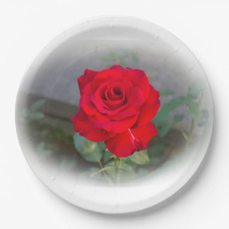 Plato De Papel Placa clásica de papel rosa roja