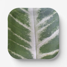 Placa cuadrada de papel de 7" de Eco Harmony