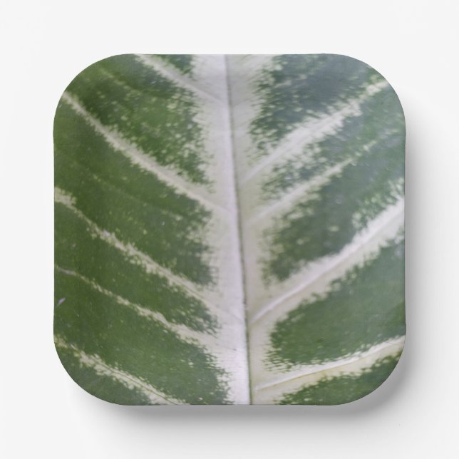 Plato De Papel Placa cuadrada de papel de 7" de Eco Harmony (Anverso)