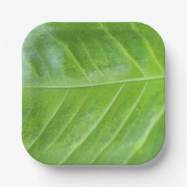 Plato De Papel Placa cuadrada de papel de 7 pulgadas con verde en