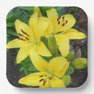 Plato De Papel Placa cuadrada de papel de color amarillo con dise