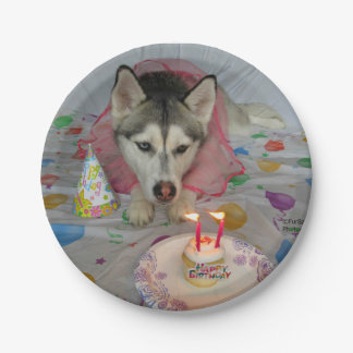 Plato De Papel Placa de cumpleaños huky siberiano y chiquito