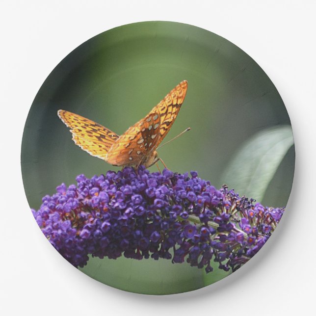Plato De Papel Placa de mariposa de ensueño (Anverso)