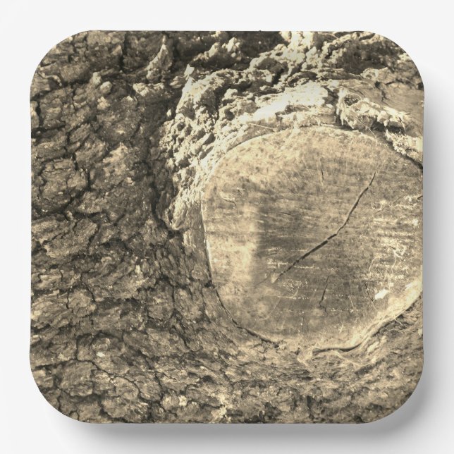 Plato De Papel placa de papel (Anverso)