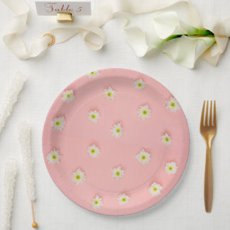 Plato De Papel Placa de papel