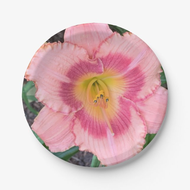 Plato De Papel Placa de papel (Anverso)