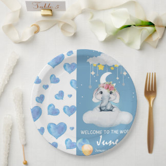 Plato De Papel Placa de papel