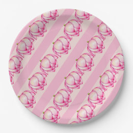 Plato De Papel Placa de papel