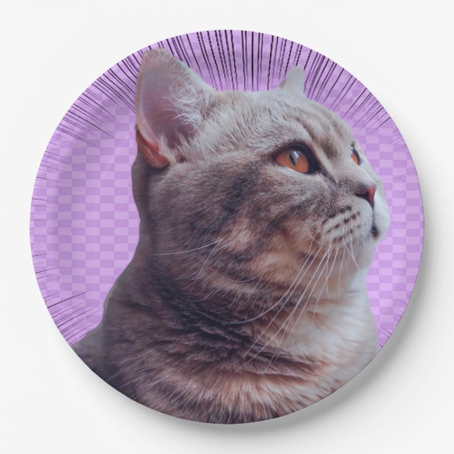 Plato De Papel Placa de papel (Anverso)