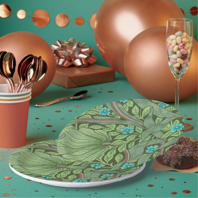 Plato De Papel Placa de papel (Multi)