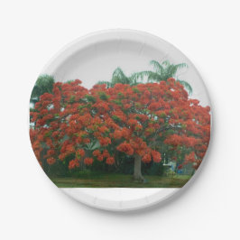 Plato De Papel placa de papel