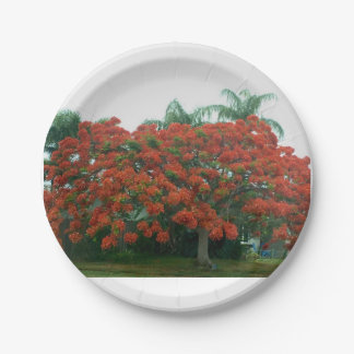 Plato De Papel placa de papel