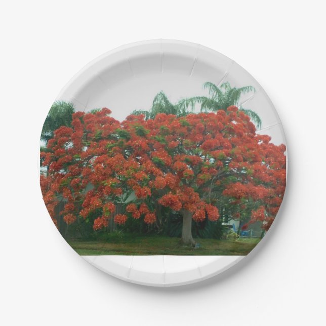 Plato De Papel placa de papel (Anverso)