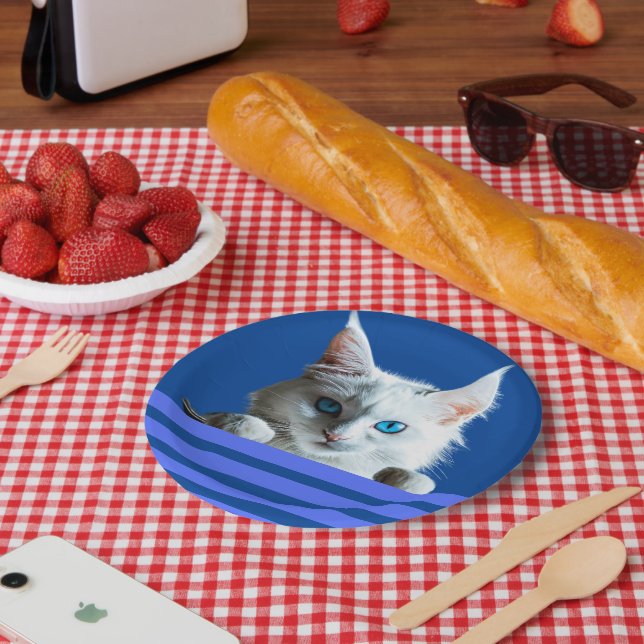 Plato De Papel Placa de papel (Picnic)