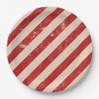 Plato De Papel Placa de papel