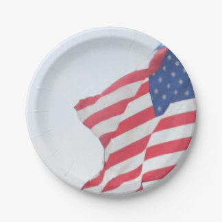 Plato De Papel Placa de papel