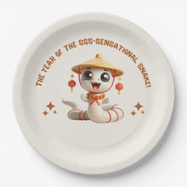 Plato De Papel Placa de papel