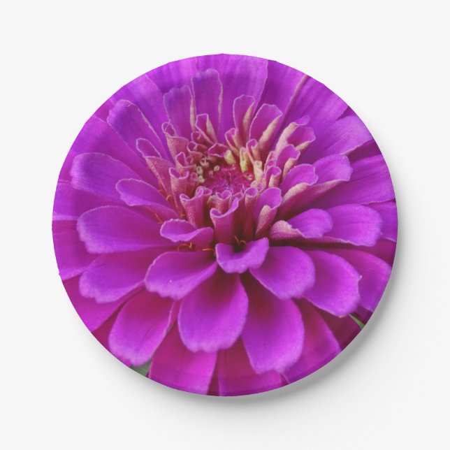 Plato De Papel Placa de papel (Anverso)