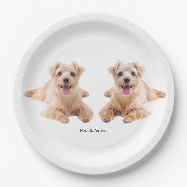 Plato De Papel Placa de papel (Anverso)