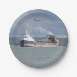 Plato De Papel Placa de papel Algosteel